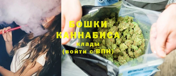 крисы Щёлкино