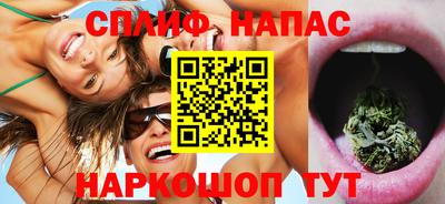 МДПВ Кингисепп