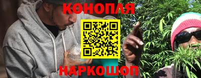 МДПВ Кингисепп