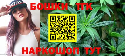 МДПВ Кингисепп
