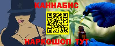 МДПВ Кингисепп