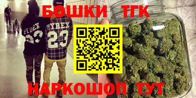 МДПВ Кингисепп