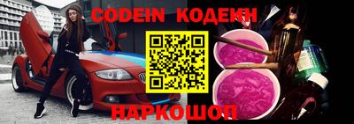 МДПВ Кингисепп