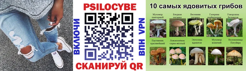 продажа наркотиков  Ярославль  hydra tor  Псилоцибиновые грибы MAGIC MUSHROOMS 