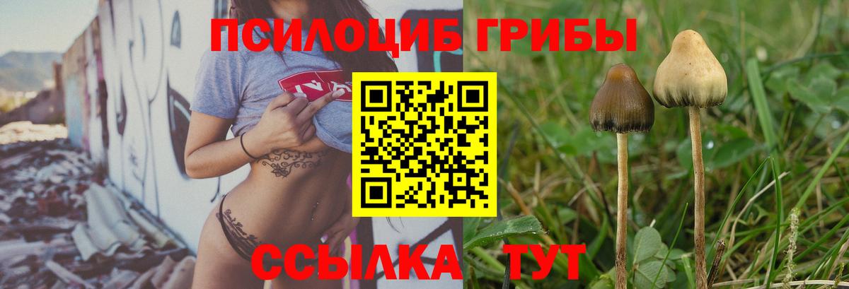 Псилоцибиновые грибы мицелий  Вход с VPN  Ярославль  Галлюциногенные грибы GOLDEN TEACHER 
